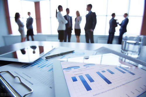 信息化浪潮下的企業信息化管理 概念、內涵與技術咨詢的橋梁作用
