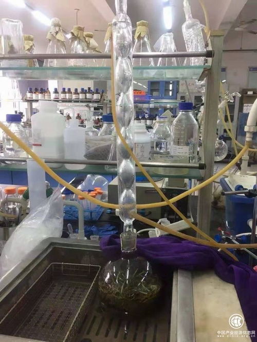 吉林柳河縣 以葡聚糖大米技術開發(fā)引領農業(yè)升級，推動農民持續(xù)增收